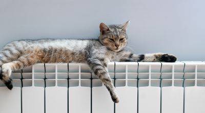 Chat Chauffage 72dpi Ok